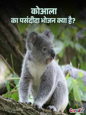 cover image of कोआला का पसंदीदा भोजन क्या है?